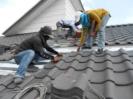 Best Roof Maintenance and Cleaning  in Pioneer, OH